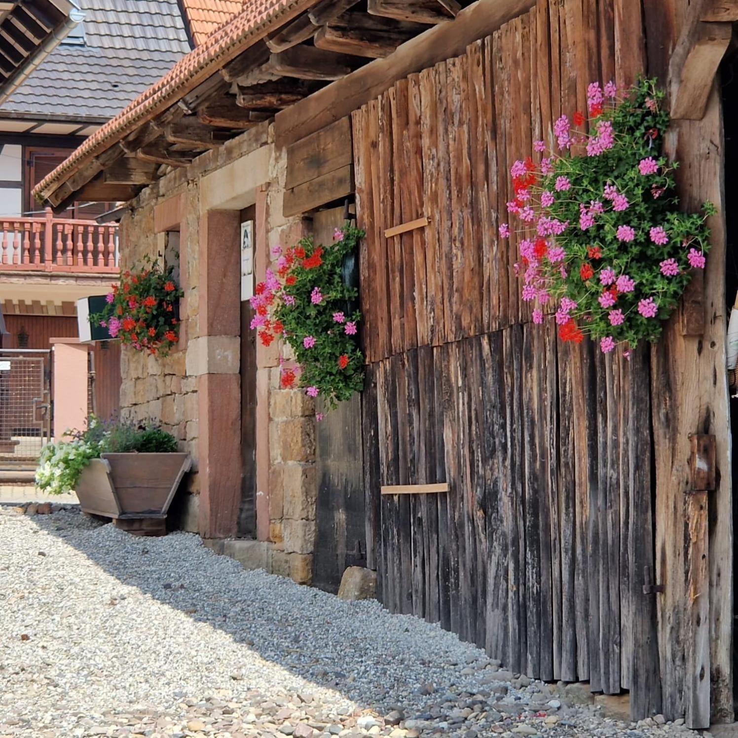 Chambres D'Hotes Chez Linda Stephane Le Passe Compose Preuschdorf Exteriér fotografie